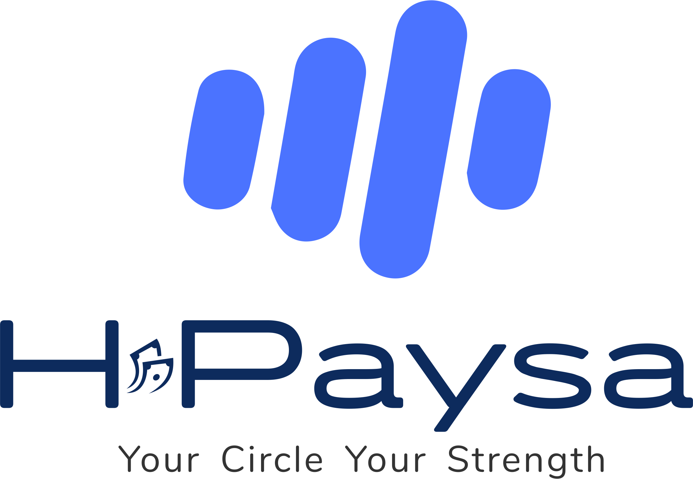 HPaysa Logo